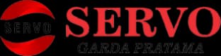 Servo Logo